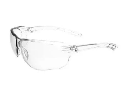 SPECSAFE safety glasses